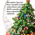 Close up of a small Christmas tree inside a spherical glass